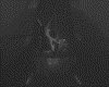 IMG029.GIF.gst.iff