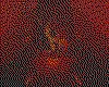 IMG029.GIF.cst.iff