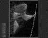 IMG023.GIF.gst.iff