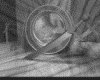 IMG021.GIF.gst.iff