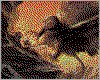 IMG015.GIF.cst.iff