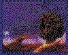 IMG013.GIF.cst.iff
