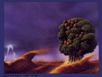 IMG013.GIF