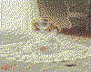 IMG012.GIF.cst.iff
