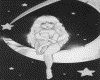 IMG010.GIF.gst.iff