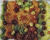 IMG020.GIF.cst.iff