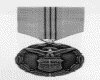 IMG017.GIF.gst.iff