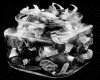IMG006.GIF.gst.iff