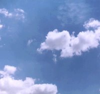IMG002.GIF