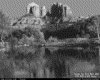 IMG040.GIF.gst.iff