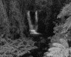 IMG039.GIF.gst.iff
