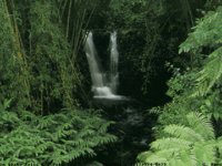 IMG039.GIF