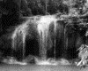 IMG036.GIF.gst.iff