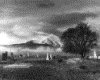 IMG031.GIF.gst.iff