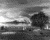 IMG031.GIF.cst.iff