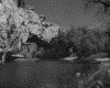 IMG030.GIF.gst.iff