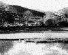 IMG029.GIF.gst.iff