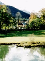 IMG029.GIF