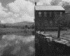 IMG028.GIF.gst.iff