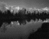 IMG026.GIF.gst.iff
