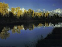 IMG026.GIF