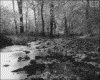 IMG025.GIF.gst.iff
