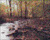 IMG025.GIF.cst.iff