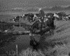 IMG022.GIF.gst.iff