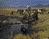IMG022.GIF.cst.iff