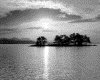 IMG020.GIF.gst.iff
