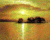 IMG020.GIF.cst.iff