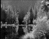 IMG014.GIF.gst.iff