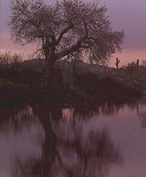 IMG013.GIF
