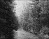 IMG009.GIF.gst.iff