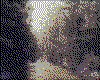 IMG009.GIF.cst.iff