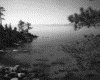 IMG008.GIF.gst.iff