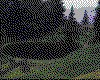 IMG005.GIF.cst.iff