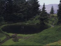 IMG005.GIF