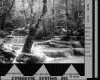 IMG003.GIF.gst.iff