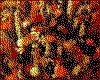 IMG040.GIF.cst.iff