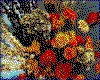 IMG038.GIF.cst.iff