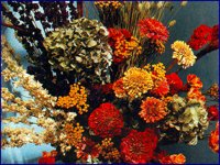 IMG038.GIF