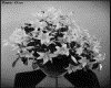 IMG037.GIF.gst.iff