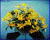 IMG037.GIF.cst.iff