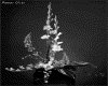 IMG036.GIF.gst.iff
