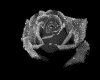 IMG032.GIF.gst.iff