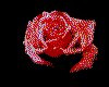 IMG032.GIF.cst.iff