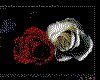 IMG031.GIF.cst.iff