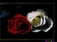 IMG031.GIF