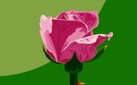 IMG030.GIF